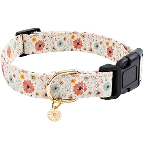 small female dog collars|unique female dog collars.